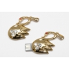USB-flash,     карты памяти